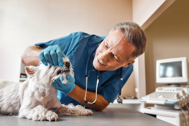 Best Emergency Wisdom Tooth Extraction in Goldsby, OK